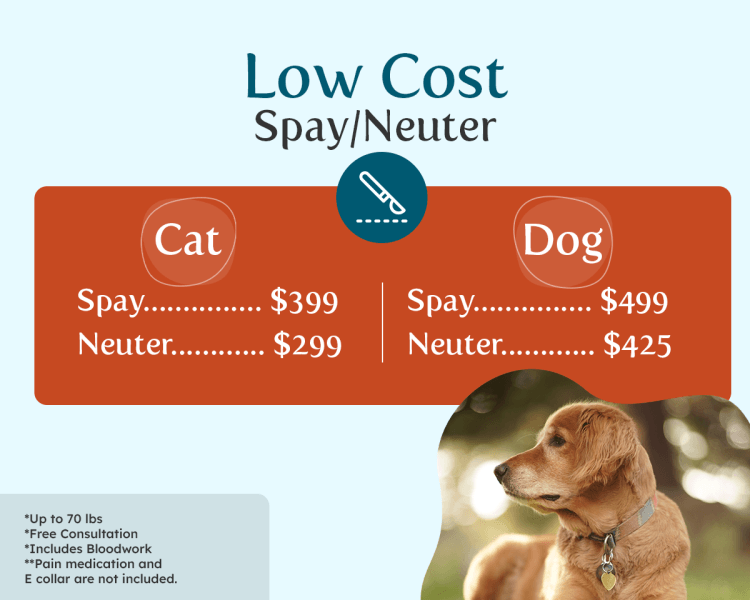 Coupons Grand Animal Hospital